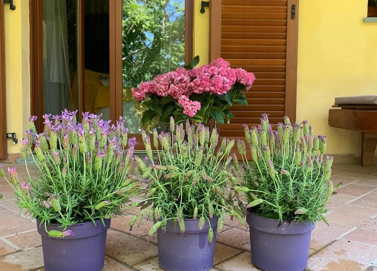 Paola'S Villa, Tuscany Arezzo Italien