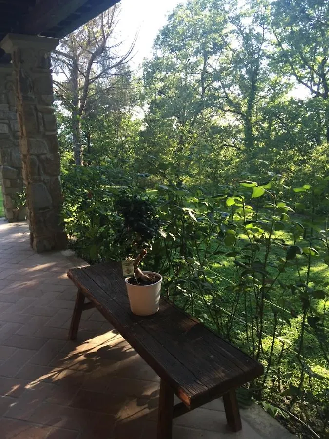 Paola'S Villa, Tuscany Arezzo