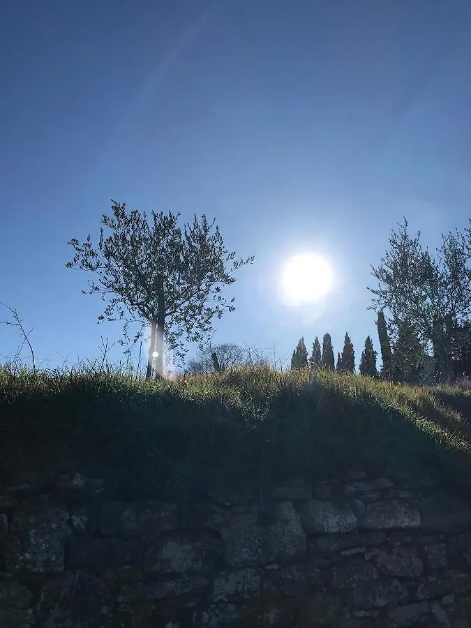 Paola'S Villa, Tuscany Arezzo 0*,